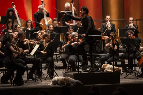 ass_turismo_uff_stampa_concerto_bosso_gal6373.jpg