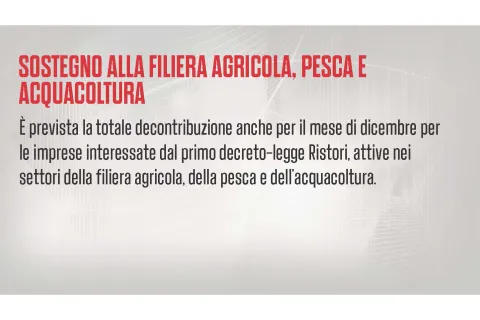 bdecreto-ristori-bis_page_12.jpg