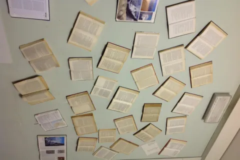 biblioteca_2.jpg