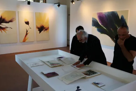 biennale_del_disegno_cs_04.jpg