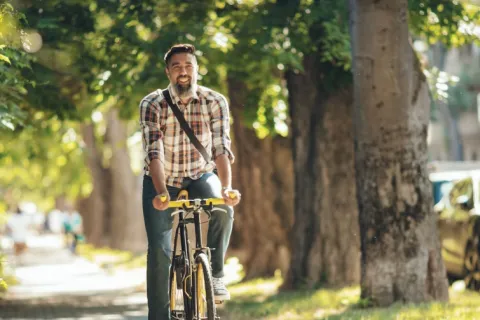 bikebee.jpg