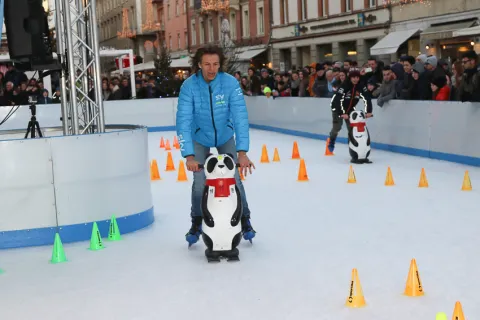 bulega.jpg