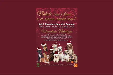 canile_natale_sito.jpg