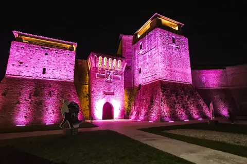 castel_sismondo_in_rosa_campagna_nastro_rosa_airc_1-10-20.jpg