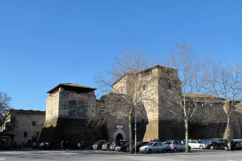 castel_sismondo_nel_2010.jpg