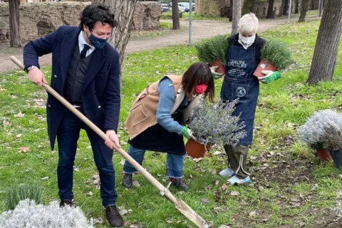 civivo_san_giuliano_giardini_via_matteotti.jpg