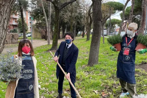 civivo_san_giuliano_giardini_via_matteotti_1.jpg