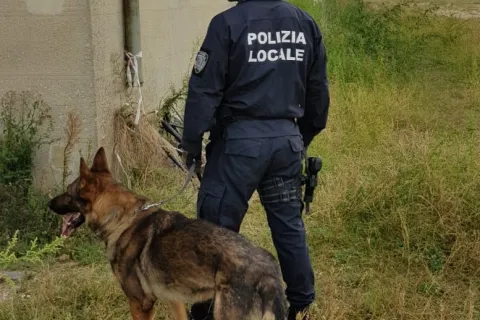 controlli_cinofili_colonie_abbandonate3.jpg