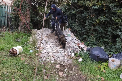 controllo_polizia_locale_edifici_abbandonati_.jpeg