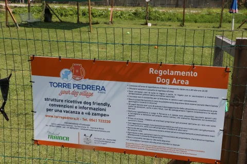 dog_area.jpg