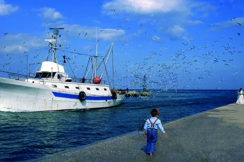 gianfranco_simonetti_-_molo_anni90_a_320_.jpg