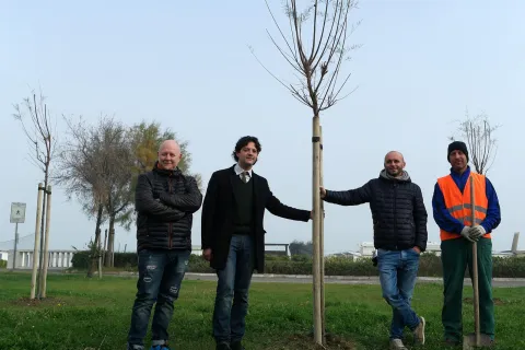 giornata_dellalbero.jpg