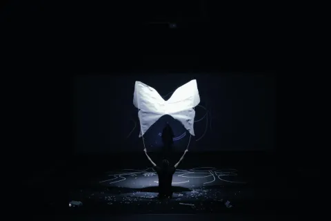 kinkaleri_butterfly_-_foto_di_jacopo_jenna_3_low.jpg