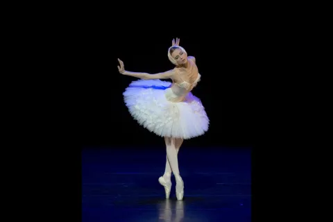 la_morte_del_cigno_-_foto_di_pierluigi_abbondanza_1.jpg