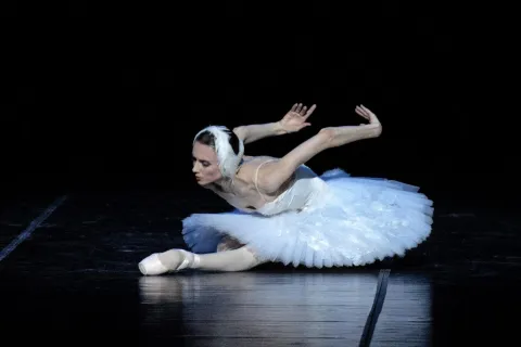 la_morte_del_cigno_-_foto_di_pierluigi_abbondanza_3.jpg