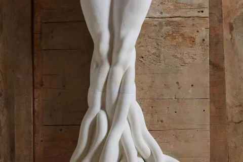 le_radici_di_dafne.jpg