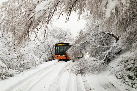 neve_02.jpg
