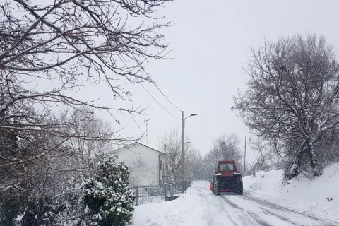 neve_103.jpg