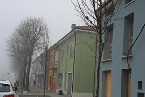 nuovi_alberi_sinistra_porto_2.jpg