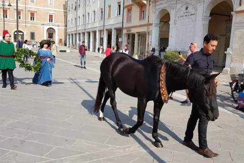 omaggio_a_sigismondo_3.jpg