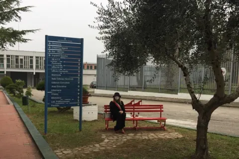 panch_rossa_lisi.jpeg