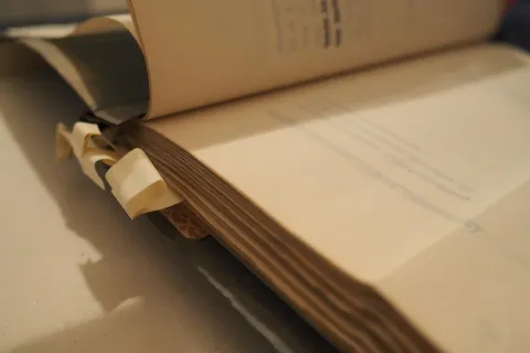 pb080134_pagine.jpg