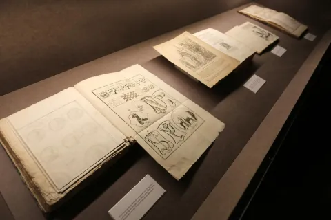 per_documento_e_meraviglia_a74a0706.jpg