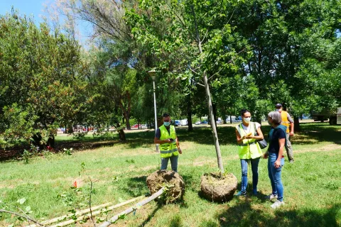 ripiantumazioni_p1500327.jpg