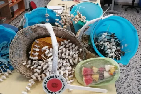 sequestro_di_cocco_e_cocomero_della_pl_di_rimini.jpg