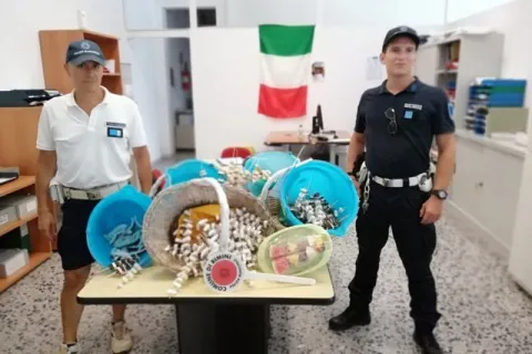 sequestro_di_cocco_e_cocomero_della_pl_di_rimini2fileminimizer.jpg