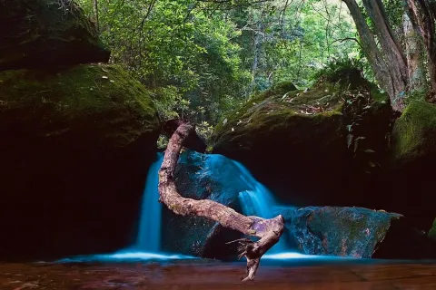toccare_the_white_dance_cristina_kristal_rizzo_tir_danza_.jpeg
