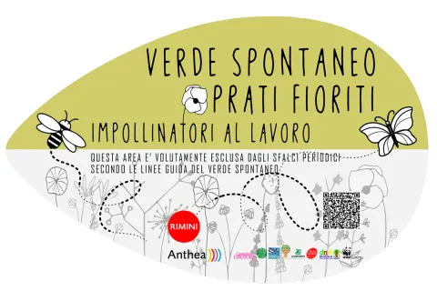 verde_spontaneo_cartello_comunicazione.jpg