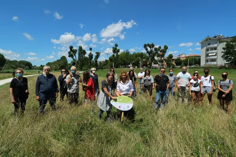 verde_spontaneo_img_7076.jpg