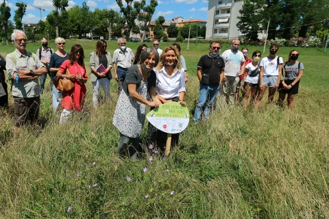 verde_spontaneo_img_7102.jpg