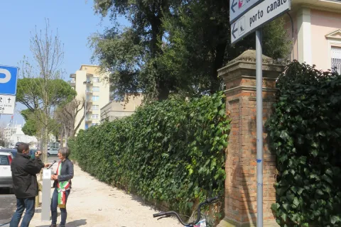 via_gioia_alberi_lions.jpg
