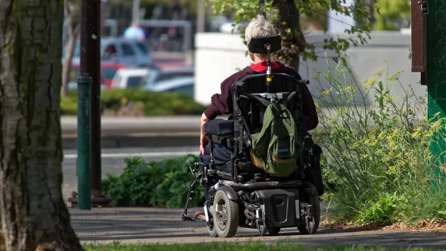 disabile