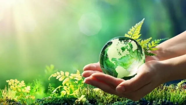 ambiente ed ecologia