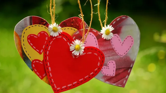 cuori nel giardino
