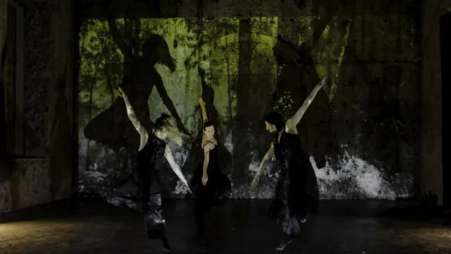 danza contemporanea