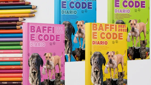 Immagini del diario e dei quadernoni, con gli ospiti a quattro a zampe del canile di Rimini