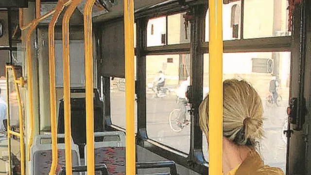 bus