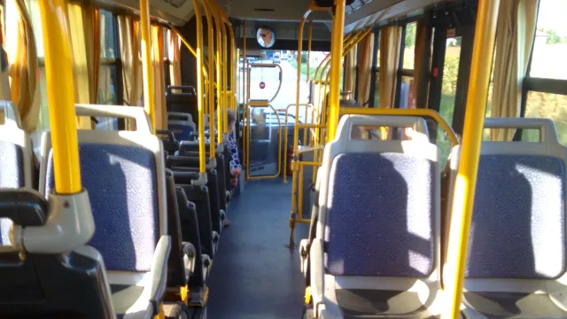 bus