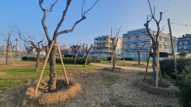 tamerici lungomare