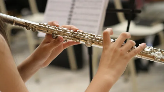 studente di musica