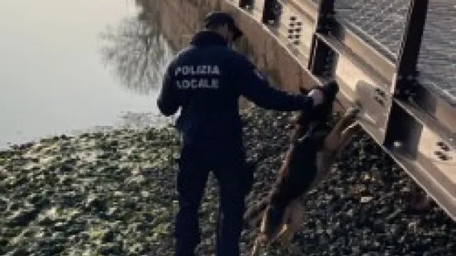 polizia locale 