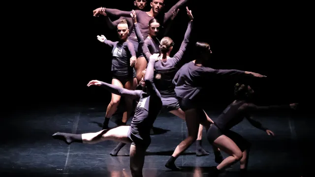 "Bayadère"