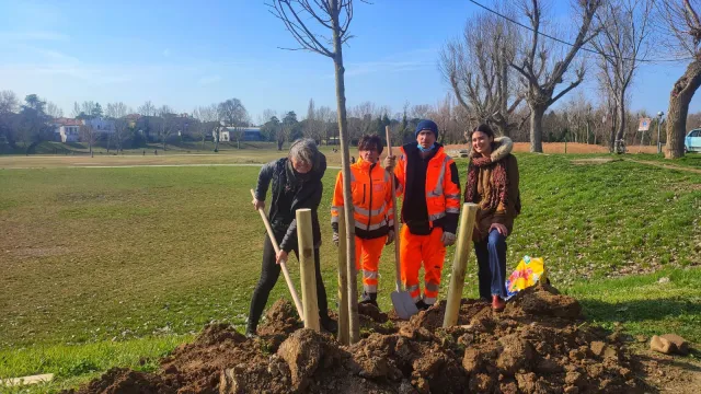 messa a dimora di un tiglio al Parco Marecchia