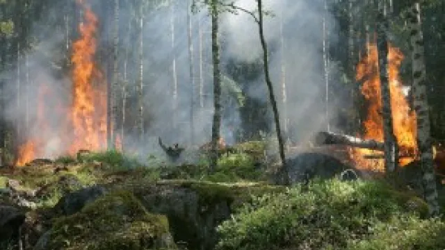 incendio