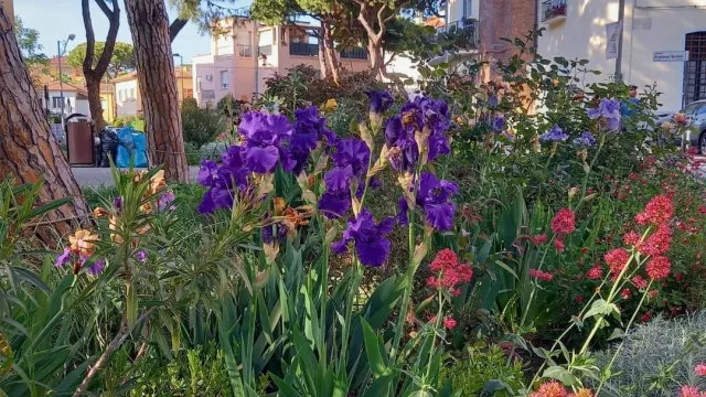 giardiniere civiche