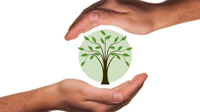 coltura biologica